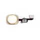 FLAT CABLE APPLE IPHONE 6S WITH HOME BUTTON   KEY EXTERIOR COLOUR GOLD COMPATIBLE